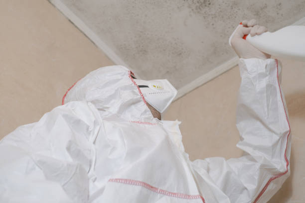 Best Mold Removal Near Me  in Abram, TX